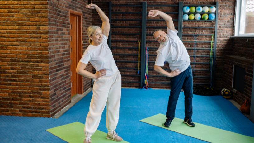 Sindnapi - Sindicato Nacional dos Aposentados, Pensionistas e Idosos